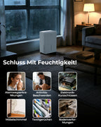 Kresico Elektrischer Luftentfeuchter 12 L