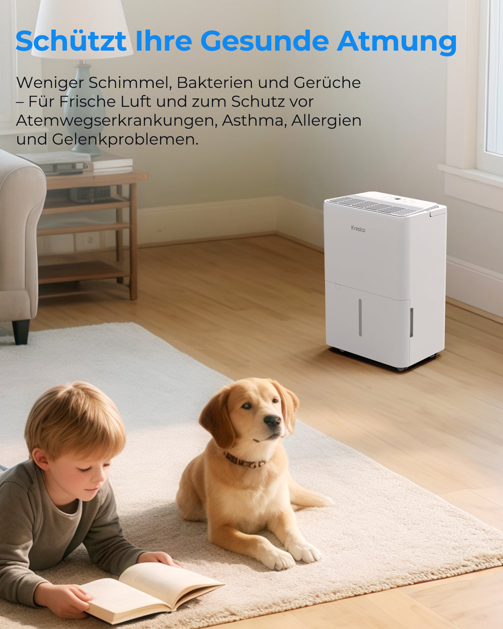 Kresico Elektrischer Luftentfeuchter 12 L